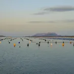 Appartamento Pupureddu Con Terrazza Ad Olbia